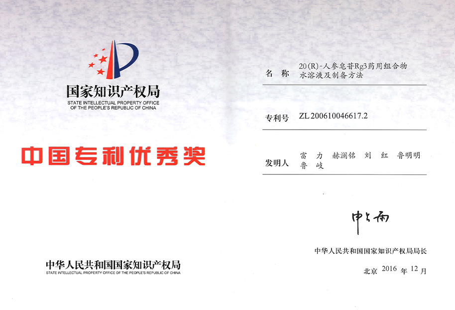 中国专利优秀奖（组合物）